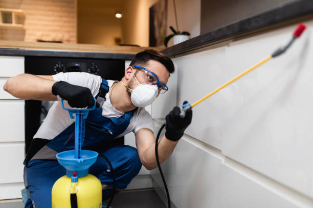 Best Residential Pest Control  in Bee Ridge, FL