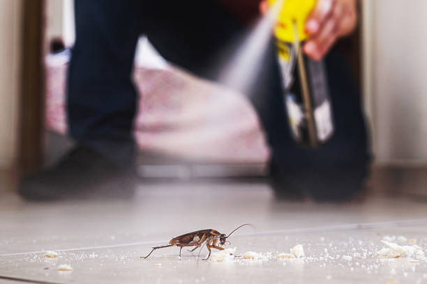 Best Pest Control for Homes  in Bee Ridge, FL